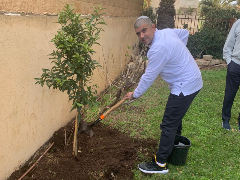 imgi_19_טו-בשבט-נטיעה-בפנורמה-1