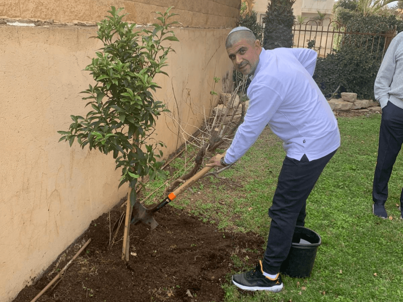 imgi_19_טו-בשבט-נטיעה-בפנורמה-1